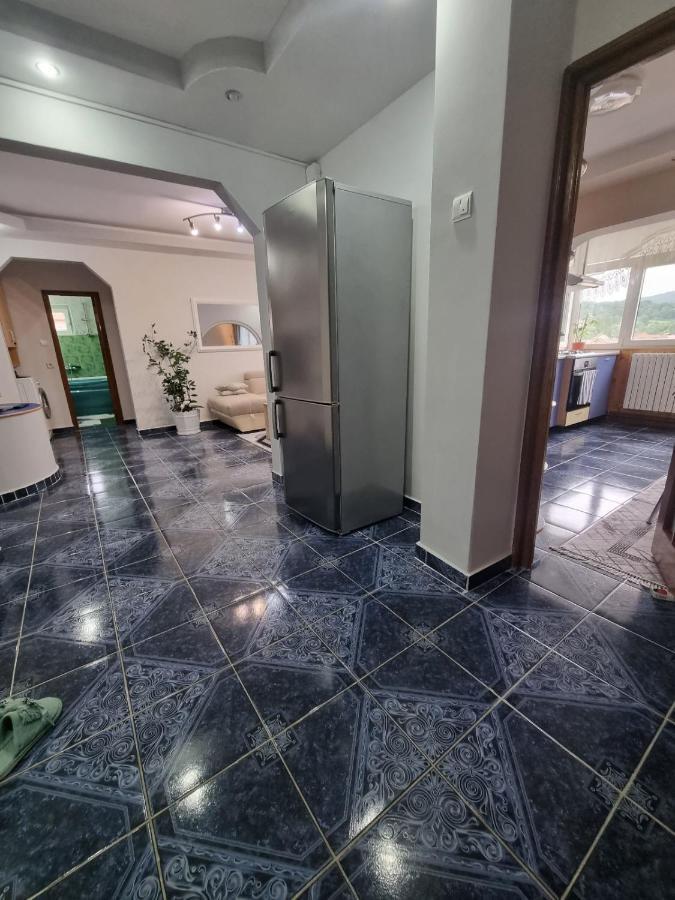 Emily Residence Куртя-де-Арджеш Экстерьер фото